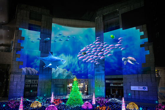 魚たちはクリスマスの夢をみる Caretta Illumination13